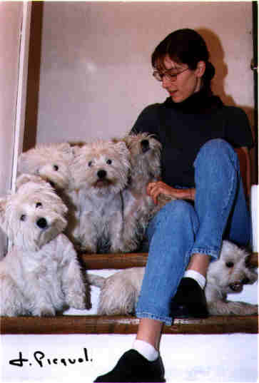 Photo chiens dans l'escalier