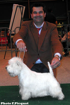 CAC CACIB Alborada Aristokrat