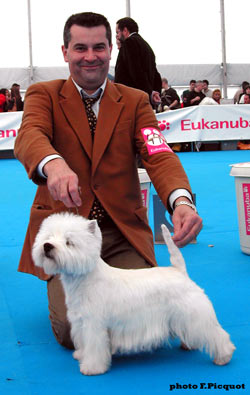 CAC CACIB BOB BOG Pale Moonlight de Champernoune