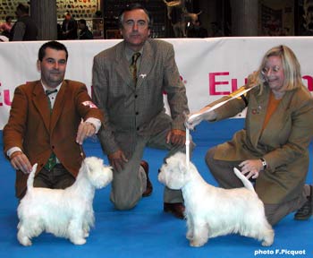 CAC CACIB BOB Pale Moonlight de Champernoune, CACIB Ch. Whitebriar Jamiroquai