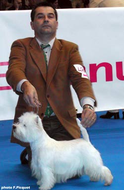 CAC CACIB Pale Moonlight de Champernoune