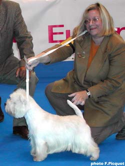 CACIB Whitebriar Jamiroquai
