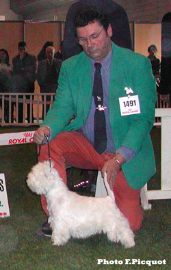 CAC CACIB Arnricann Red Jackline