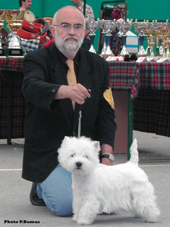CAC BOB Neon Light du Clan des Hamilton