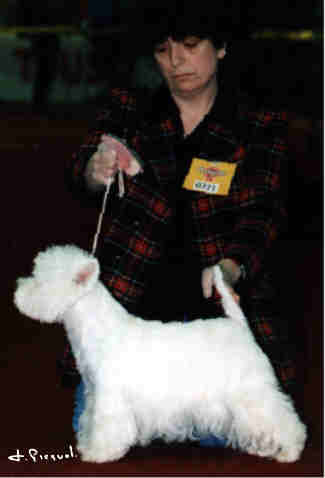 cac. cacib. Miss du Redour de la Rocheli�re