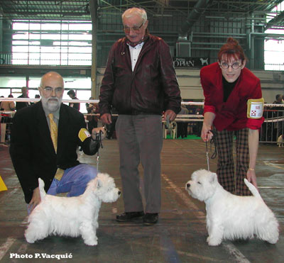 CACIB Ch. Neon Light du Clan des Hamilton, CAC BOB Ch.Llord's Wain Major Thompson