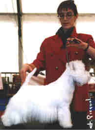 Lord's wain major thompson BOB Barcelona 2001
