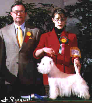 1er BOG CH LORD'S WAIN MAJOR THOMPSON