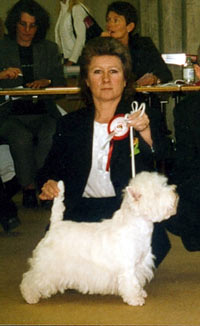 CAC CACIB BOB Usche