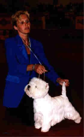 1erCACIB-CAC-QC Charise's white bam bam