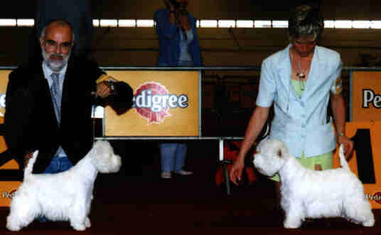 1�reRCAC-QC(right)Ariostea priscilla,2�me(left)Punchy baby du clan des hamilton
